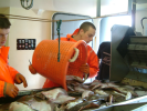 Manne industrielle / Manne à linge 55 litres - orange - 2